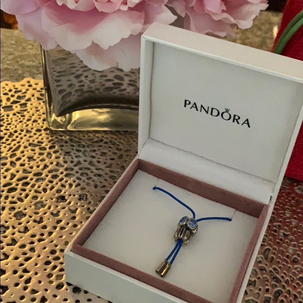 Pandora Charm Necklace